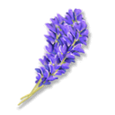 คราม